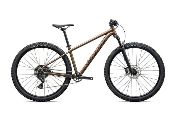 Specialized Rockhopper Sport GLOSS BURNT GOLD METALLIC / STALLION METALLIC XXL - 29