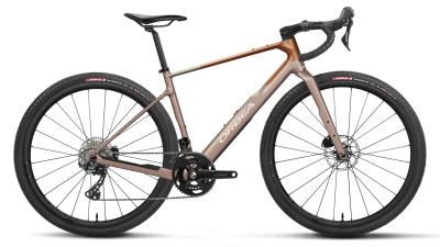 Orbea TERRA M35TEAM L Nickel (Matt) - Metallic Cinamon (Matt) Produktbild 1