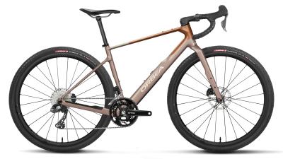 Orbea TERRA M20iTEAM XS Nickel (Matt) - Metallic Cinamon (Matt) Produktbild 1