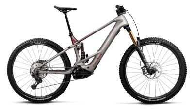 Orbea WILD TR M10 XL Desert Rose (Matt) - Burning Ashes C. View (Gloss) Produktbild 1