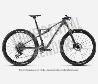 Orbea OIZ M21 L Diamond Carbon View (Matt-Gloss) Produktbild 3