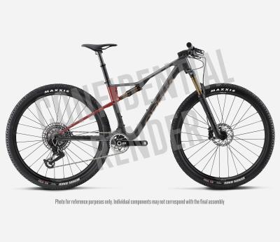 Orbea OIZ M-TEAM AXS L Diamond Carbon View (Matt) - Cherry Red (Gloss) Produktbild 3