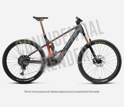 Orbea WILD M10 L Diamond Carbon View (Matt) - Mars Red (Gloss) Produktbild 3