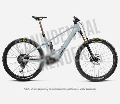 Orbea WILD ST H30 M Halo Silver Gloss Produktbild 3