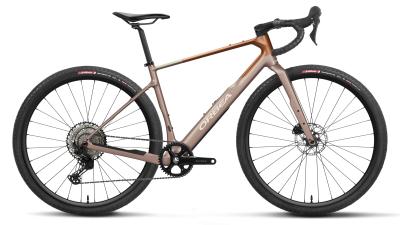 Orbea TERRA M30TEAM 1X XL Nickel (Matt) - Metallic Cinamon (Matt) Produktbild 3