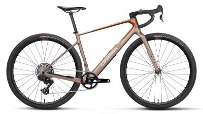 Orbea TERRA M31eTEAM 1X XXL Nickel (Matt) - Metallic Cinamon (Matt) Produktbild 3