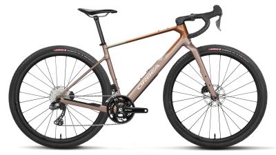 Orbea TERRA M20iTEAM XS Nickel (Matt) - Metallic Cinamon (Matt) Produktbild 3