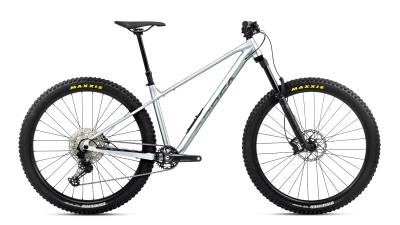 Orbea LAUFEY H10 L Smooth Silver (Matt) - Titanium (Gloss) Produktbild 3