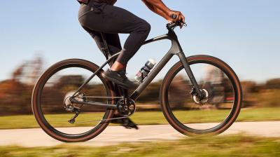 Trek FX Sport 4 Carbon M LITHIUM GREY Produktbild 11