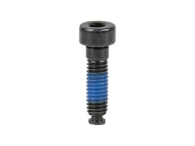 Trek Fastener Trek Socket Head M6x1.0x22mm Produktbild 1