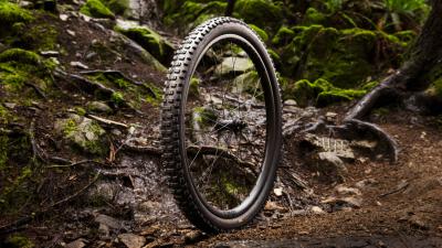 Bontrager Reifen Bontrager Brevard RSL XT 29x2.5 TLR Black Produktbild 3