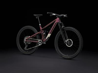 Trek Top Fuel 9.9 XX AXS S 27.5 Axinite Flip Produktbild 1