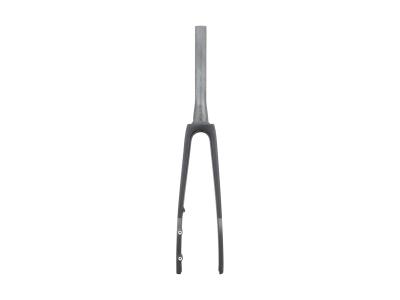 Trek Fork Rigid Madone SLR 2025 ML/L/XL Matte/Gloss Car Produktbild 1