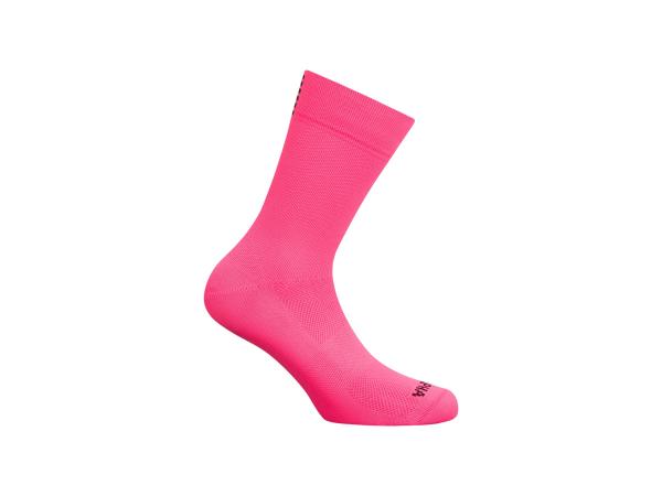 Rapha Socke Rapha 24 Pro Team XL Pink