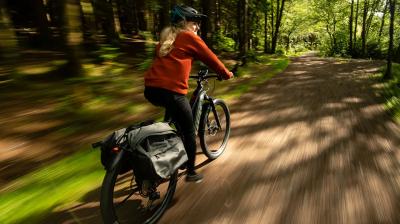 Trek Powerfly FS+ 4 EU M 29 Pennyflake/Black Olive Produktbild 10