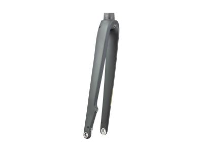 Trek Fork Rigid Trek 2025 Domane+ AL 53R Lithium Grey Produktbild 1