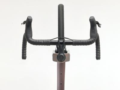 Trek Checkpoint ALR 5 L Bronze Age Produktbild 2