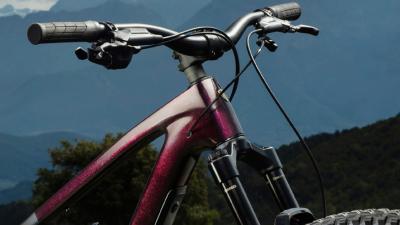 Trek Fuel LX 9.9 X0 AXS L Purple Phaze/Amethyst Marble Produktbild 3