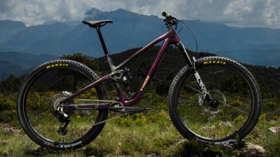 Trek Fuel EX 9 X0 AXS XL Lithium Grey/Trek Black Splatt Produktbild 8