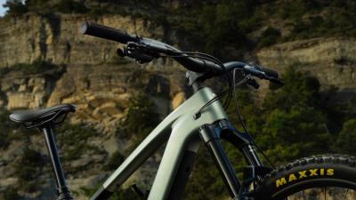 Trek FUEL+ EX 9.8 EA90 EU XL Lichen Green/Keswick Green Produktbild 6