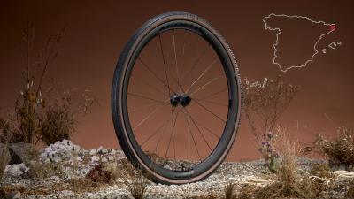Bontrager Tire Bontrager Girona RSL GR 700x45c TLR Tanwall Produktbild 3