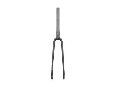 Trek Fork Rigid Domane AL2 48R Matte Lithium Grey/Carbo Produktbild 1