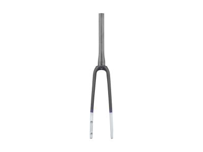 Trek Fork Rigid Domane AL2 48R Plasma Grey Pearl/Carbon Produktbild 1